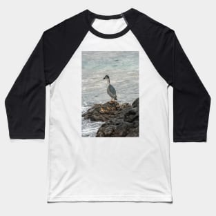 Black-crowned night heron of hawaii 7 Baseball T-Shirt